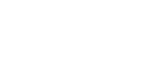National Parking Control Logo
